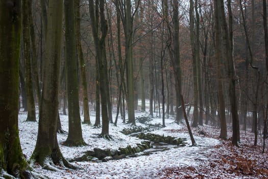 Bergpark Wilhelmshoehe in Kassel in Germany, a unique landscape park in Kassel, Germany
