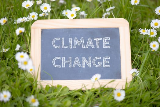 Climate change is standing on a chalkboard, meadow with flowers, environment discussion, global warming and eco concept