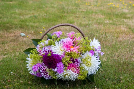 Bouquet of dahlias in a garden