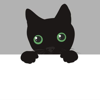 Cute black cat face spy on you