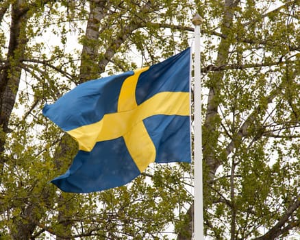 Swedish Flag Waving in the Wind with trees behind it.