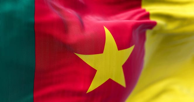 Close-up view of the Cameroon national flag waving in the wind. The Republic of Cameroon is a country in west-central Africa. Fabric textured background. Selective focus. Realistic 3d illustration