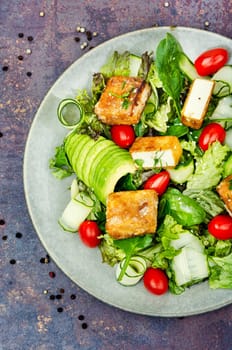 Delicious salad with lettuce, cucumber, avocado and roasted tofu soy cheese. Vegetarian cuisine