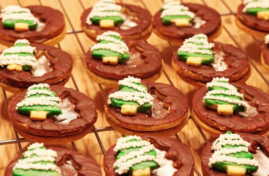 Homemade Christmas cookies with fir trees on a baking tray