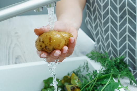 Cropped photo of woman wearing grey apron washing potato with hand under running water in sink full of greenery in kitchen. Vegetables, vegetarian, preparation for cooking, healthy food, hygiene.