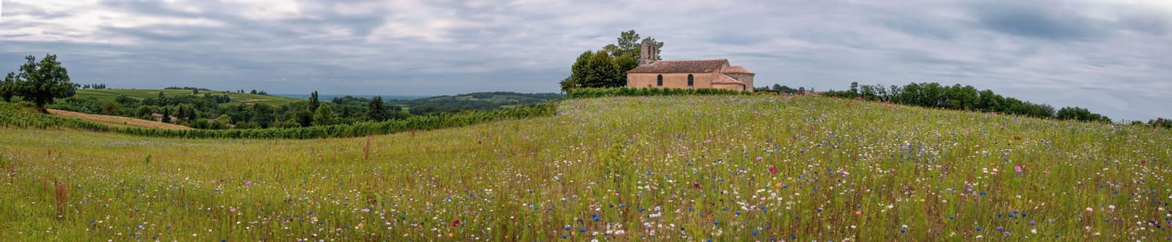 Vignoble Bordelais features a stunning view of rolling fields adorned with wildflowers and a quaint building situated near the Church of Blasimon in Gironde, France.