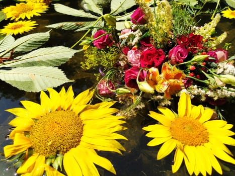 Yellow decorative sunflowers, pink and red roses in a bouquet floating in the water of a fountain. Plucked buds as decoration for a summer holiday. Ivan Kupala, summer solstice. Harvest festival