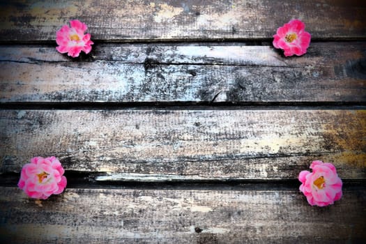 Buds of spray pink terry roses on a wooden background. Four beautiful roses are laid out on the table in the corners. Copy space. Free space for text. Postcard, layout on the surface.
