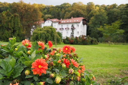 Banja Koviljaca, Serbia, Guchevo, Loznica, September 30, 2022 A medical building, the former royal villa. Green lawn in the park with flowers and bushes. Landscaping and decoration of the park area