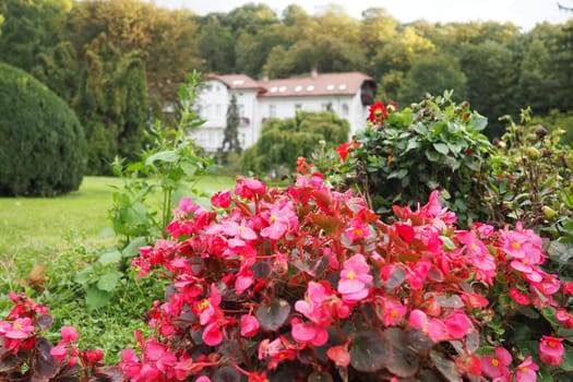 Banja Koviljaca, Serbia, Guchevo, Loznica, September 30, 2022 A medical building, the former royal villa. Green lawn in the park with flowers and bushes. Landscaping and decoration of the park area