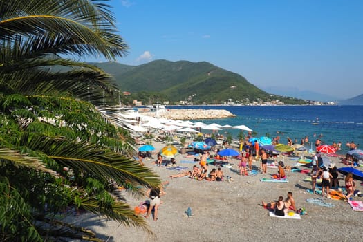 Meljine, Montenegro, Adriatic Sea, August 8, 2022. Palm branches sway on the beach. Vacation at the resort. Date palm leaves. Tourism and travel. People tourists swim and sunbathe on the pebble plage