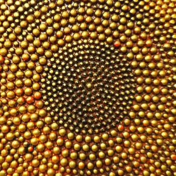 Pimples or spikes made of gold metal. Metal rounded bulges are located in a circle. Symbol of the sun or cycle. Unusual abstract background. The pimples are larger at the edges than in the middle