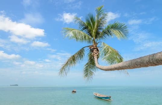 Tropical sea beach with coconut palm tree and long-tail boat in Thailand