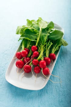 Bunch of fresh red radish on blue background