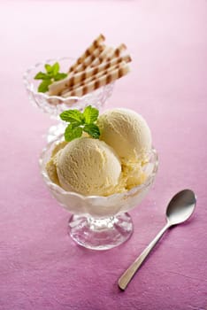 Fresh vanilla ice cream in a bowl close up