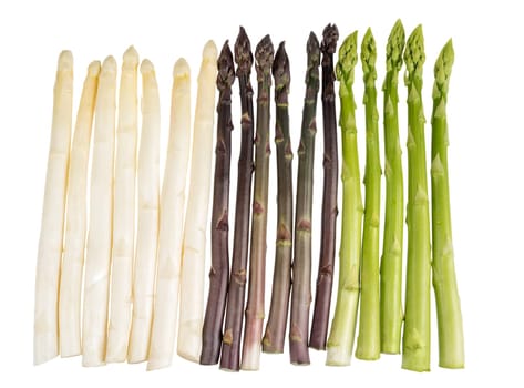 White,green and violet asparagus exposed on white background