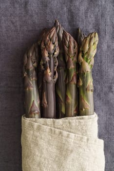 Fresh violet asparagus in linen cloth on dark linen in a dark light mood