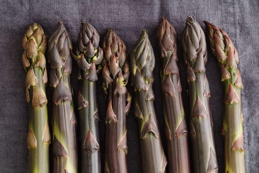 Fresh violet asparagus on dark linen in a dark light mood