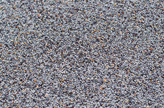 Poppy seeds