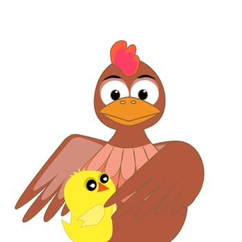 Chicken with chicken on a white background