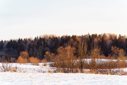 Landscape of a winter forest at sunset in Kernave, Lithuania.
