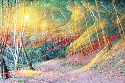 Tunnel of light in the forest, spirituality and religious belief, inner dimension, personal growth, holy spirit