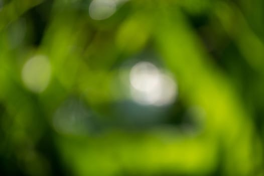 Background texture in green and white