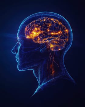 A hologram of a human head through which the brain can be seen..