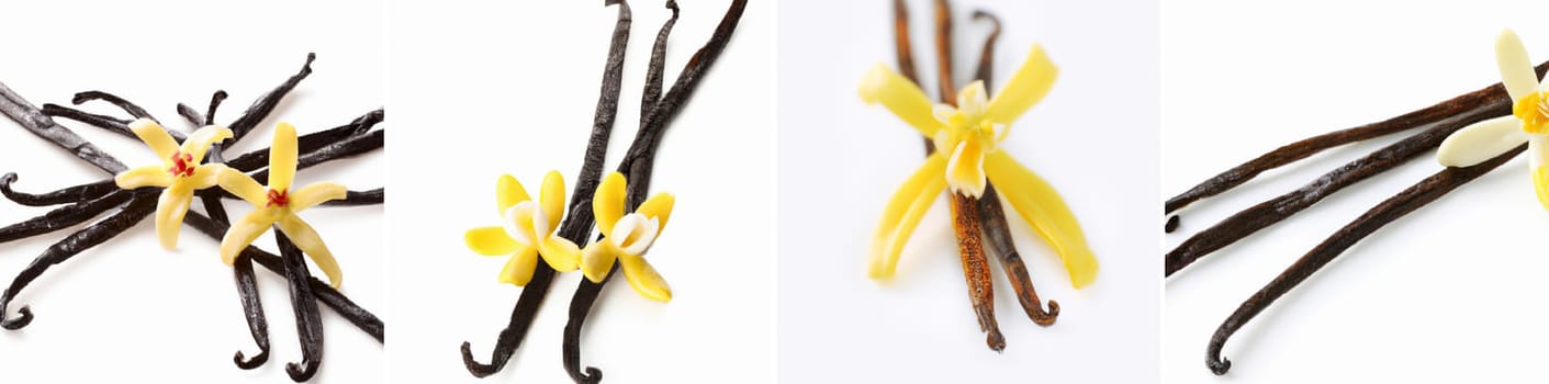 A series of four images of vanilla flower on a white background