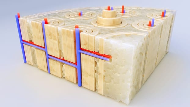Bone tissue closeup through a cross section of a bone - -3D rendering