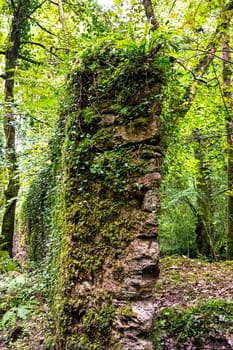 Kennall Vale Nature Reserve, Ponsanooth, Cornwall, United Kingdom
