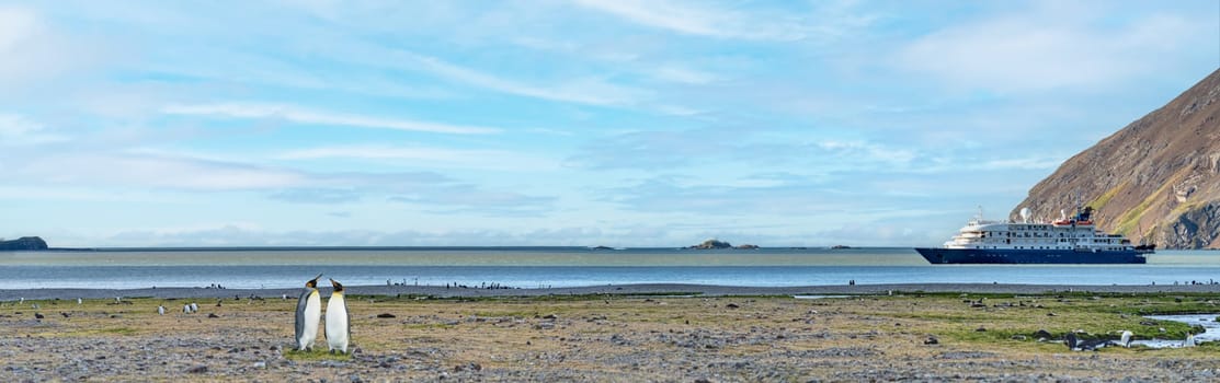 North Coast of South Georgia - view from Whistle Cove beach in Fortuna Bay - one of South Georgia's most picturesque locations, Fortuna Bay is also a popular King Penguin haunt. Fortuna Bay is located on the north coast of South Georgia, surrounded by rugged mountainous beauty and teeming wildlife. The varied tundra and curious penguins are a nature photographer's dream come true and are likely to provide some of the best images of your trip.This is a great place to spot icebergs and is also home to healthy populations of king penguin, Antarctic fur seal, elephant seal, brown skua, giant petrel and Antarctic tern. Fur seals, once almost extinct, are now so abundant in Fortuna Bay that it is sometimes difficult to find a landing spot on the shore.
