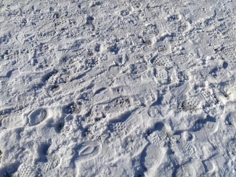 Footprints of boots in the snow. Lots of human footprints on fresh white crust