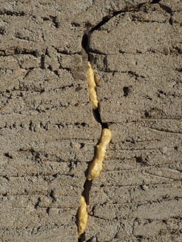 Mounting foam - polyurethane foam sealant. The foam consists of 2 main components, Methylene diphenyl diisocyanate and polyols. Foam-filled crack in the plastered wall of the facade of the house