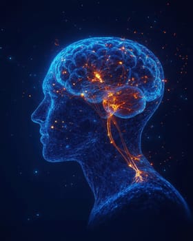 A hologram of a human head through which the brain can be seen..