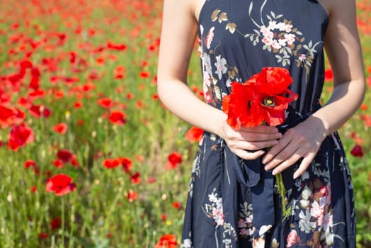 happy young woman with bouquet in poppy field