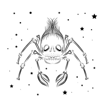spider linear sketch for tattoo. A spider with a skull head.