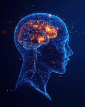 A hologram of a human head through which the brain can be seen..