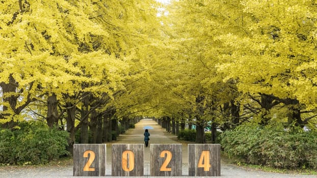 The 3d rendering of  wording 2024 with nice backbround view