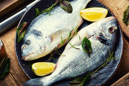 Fresh raw dorado fish for cooking on a plate. Seafood