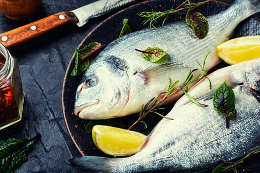 Fresh raw dorado fish for cooking on a plate. Seafood