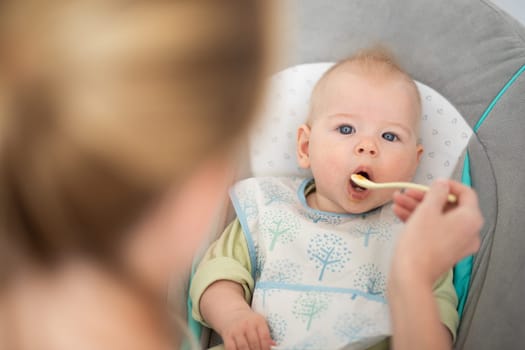Mother spoon feeding her baby boy child in baby chair with fruit puree. Baby solid food introduction concept