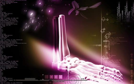Digital illustration of Leg bone in colour background