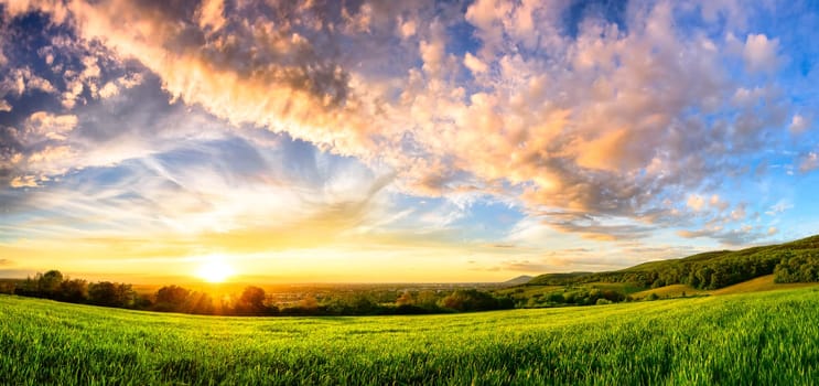 Panorama of a colorful sunset on a fresh green meadow,wide format rural landscape with vibrant colors