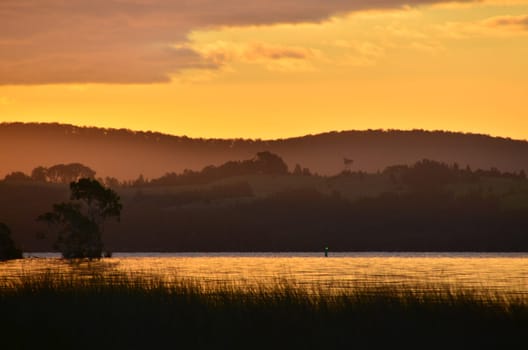gruenes light on the myalllake
