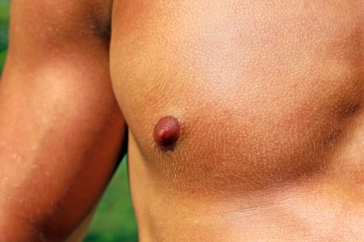 Biceps and men's breast