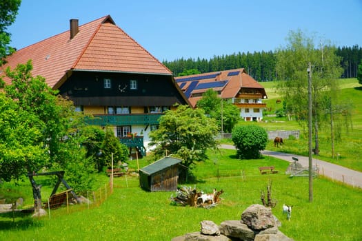 Farms in the Black Forest