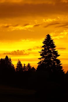 Golden sky at sunset in the Black Forest