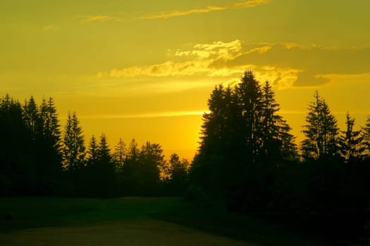 Idyllic sunset in the Black Forest