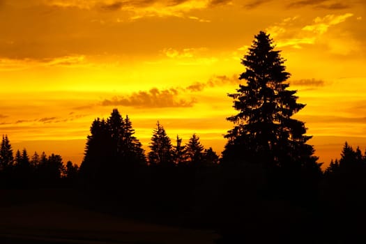 Beautiful sunset over the Black Forest